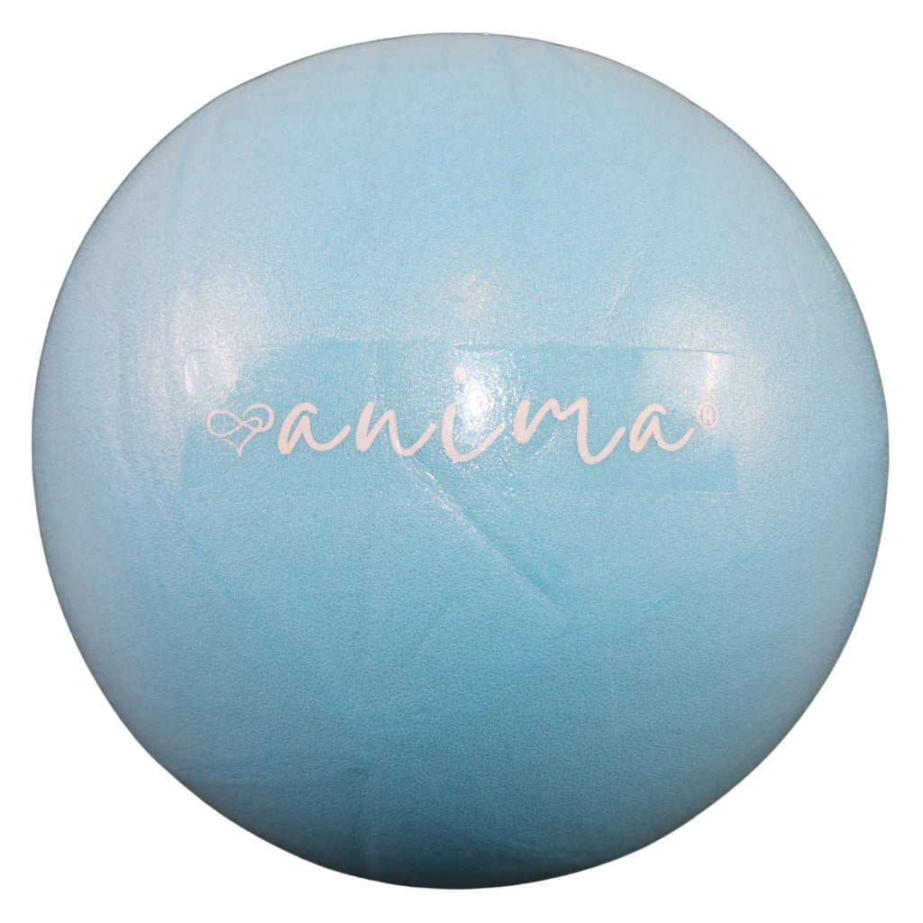 5 Stück Pilates Ball Blau, 25 cm - ANIMA