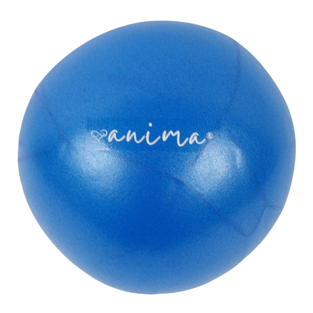 5 Stück Pilates Ball Blau, 25 cm - ANIMA