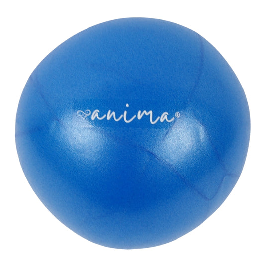 5 Stück Pilates Ball Blau, 25 cm - ANIMA