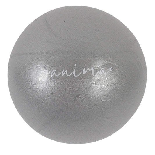 5 Stück Pilates Ball Grau, 25 cm - ANIMA