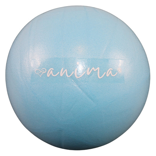 5 Stück Pilates Ball Blau, 25 cm - ANIMA