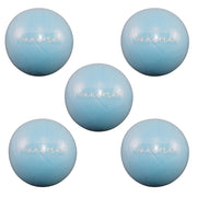 5 Stück Pilates Ball Blau, 25 cm - ANIMA