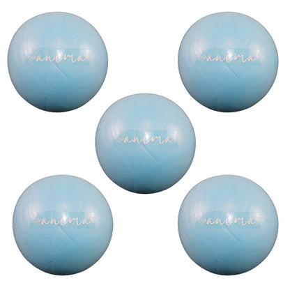 5 Stück Pilates Ball Blau, 25 cm - ANIMA