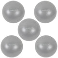 5 Stück Pilates Ball Grau, 25 cm - ANIMA