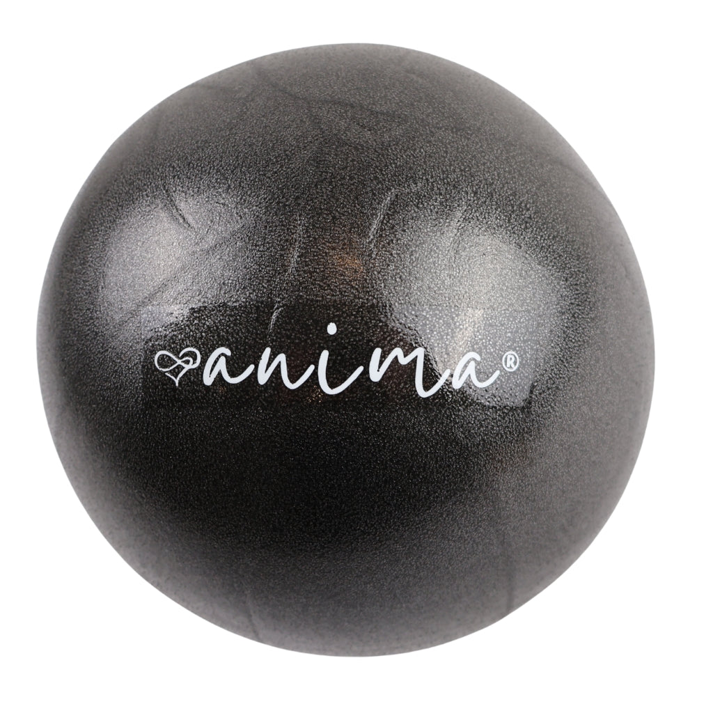 5 Stück Pilates Ball Blau, 25 cm - ANIMA