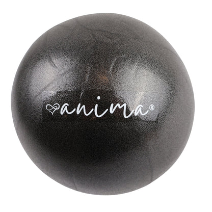 5 Stück Pilates Ball Blau, 25 cm - ANIMA