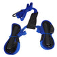 Schlingentrainer - Suspension Trainer - Angebot